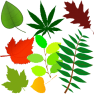 ClipArt_Vegetales_Hojas_SVG.webp